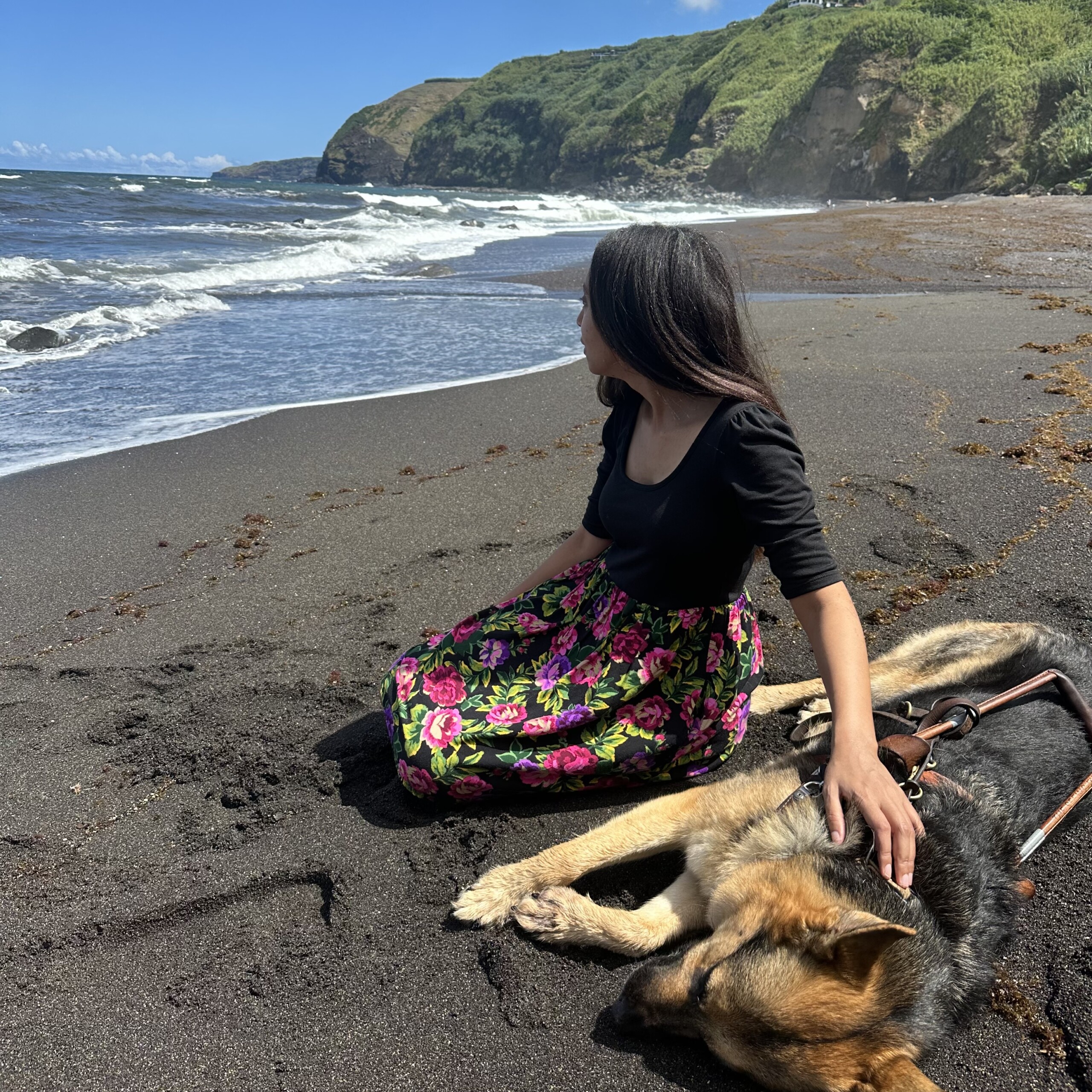 Video: A German Shepherd dog is stretched out on a black sand beach, his eyes half-closed in contentment. I'm sitting beside Mylo, stroking his shoulder as I face the refreshing sea breeze. Vibrant green cliffs jut out of the Atlantic.