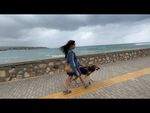 Video: Cool Tactile Guiding Paths for Blind People