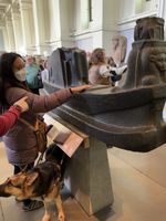 Haben, a Black woman wearing a puffy coat and face covering, feels a large stylized boat in a crowded museum. Her German Shepherd Seeing Eye dog looks up in alarm when a sightie starts angry poking his person. The hand of ableism appears white, and there's a smart watch on their wrist.