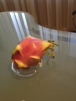 Dragon Fruit