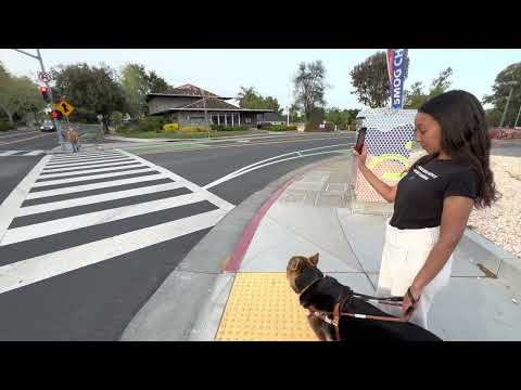 A New Accessible Pedestrian Signal for Blind Travelers