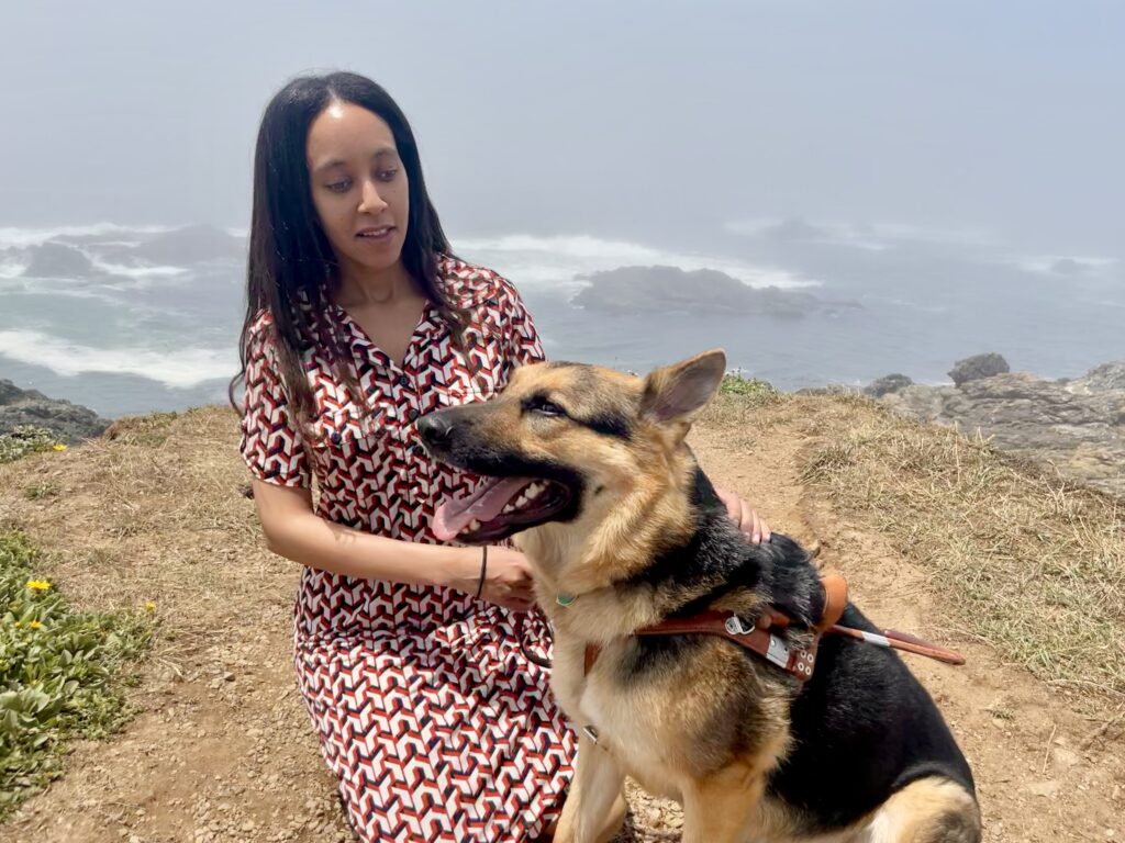 Mylo, my German Shepherd guide dog, and I are both sitting in the warm sun. The grassy field extends behind us to the edge of a cliff, beyond which are tall ocean waves crashing against large rocks. 